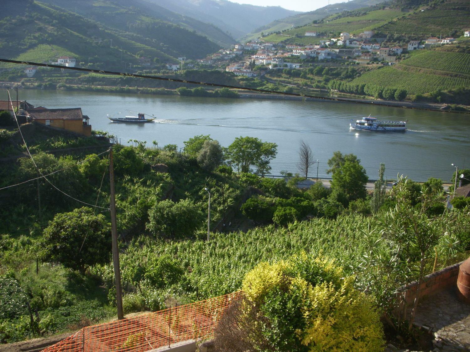 Hotel Quinta Da Azenha à Folgosa  Extérieur photo