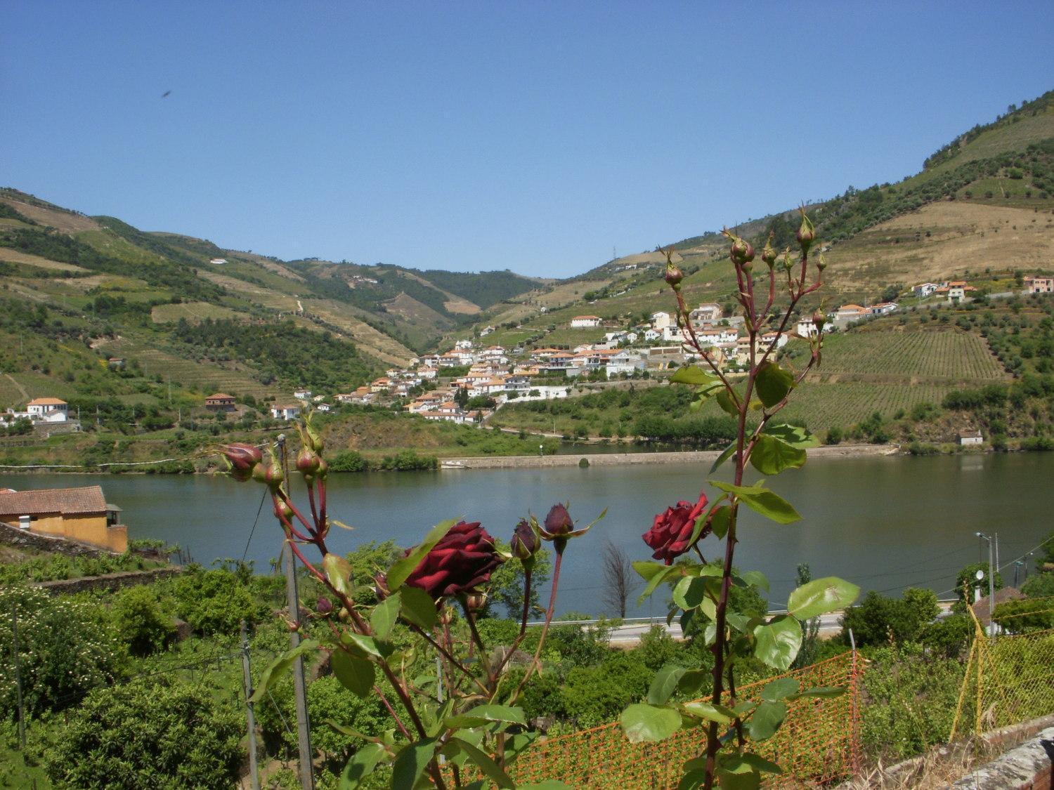 Hotel Quinta Da Azenha à Folgosa  Extérieur photo